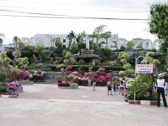 cong vien Sriracha Tiger Zoo